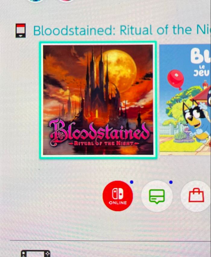 Bloodstained Switch - photo numéro 7