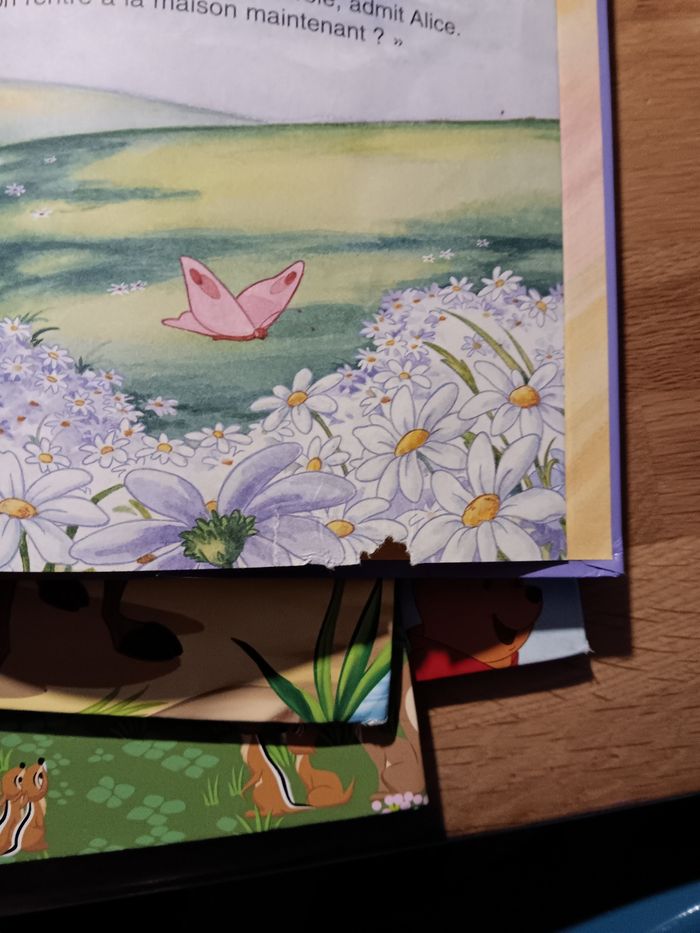 Livres Disney - photo numéro 2