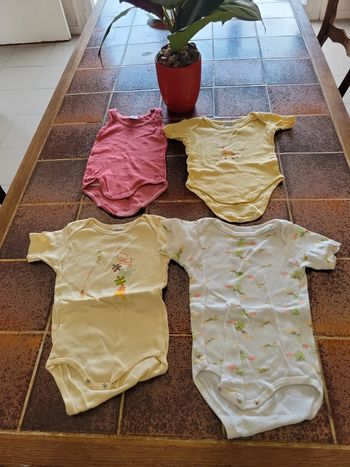 Lot 4 bodies manches courtes