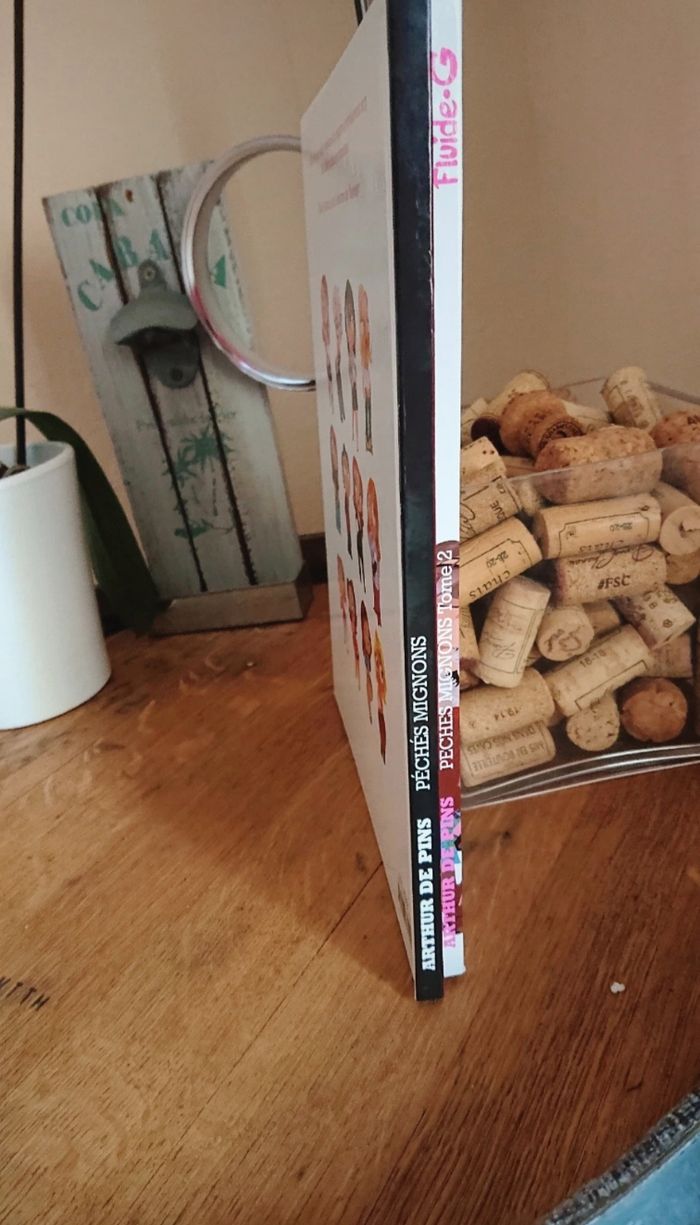 Lot BD "Péchés mignons" - photo numéro 3