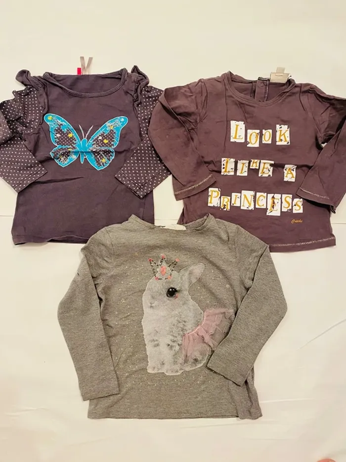 Lot 3 t-shirts manches longues fille 24 mois