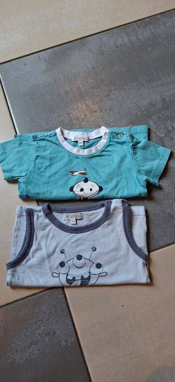 Lot 2 tshirts 9 mois