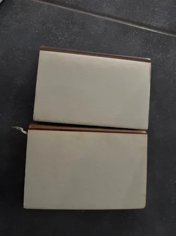 Lot de deux livres sur la Saintes Bible