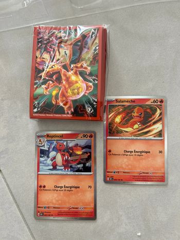 Sleeve + 2 cartes salameche reptincel