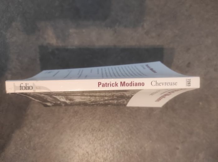 Chevreuse Patrick Modiano Folio 2023 - photo numéro 2