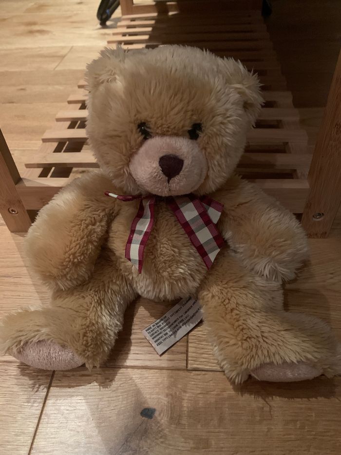 Ourson en peluche