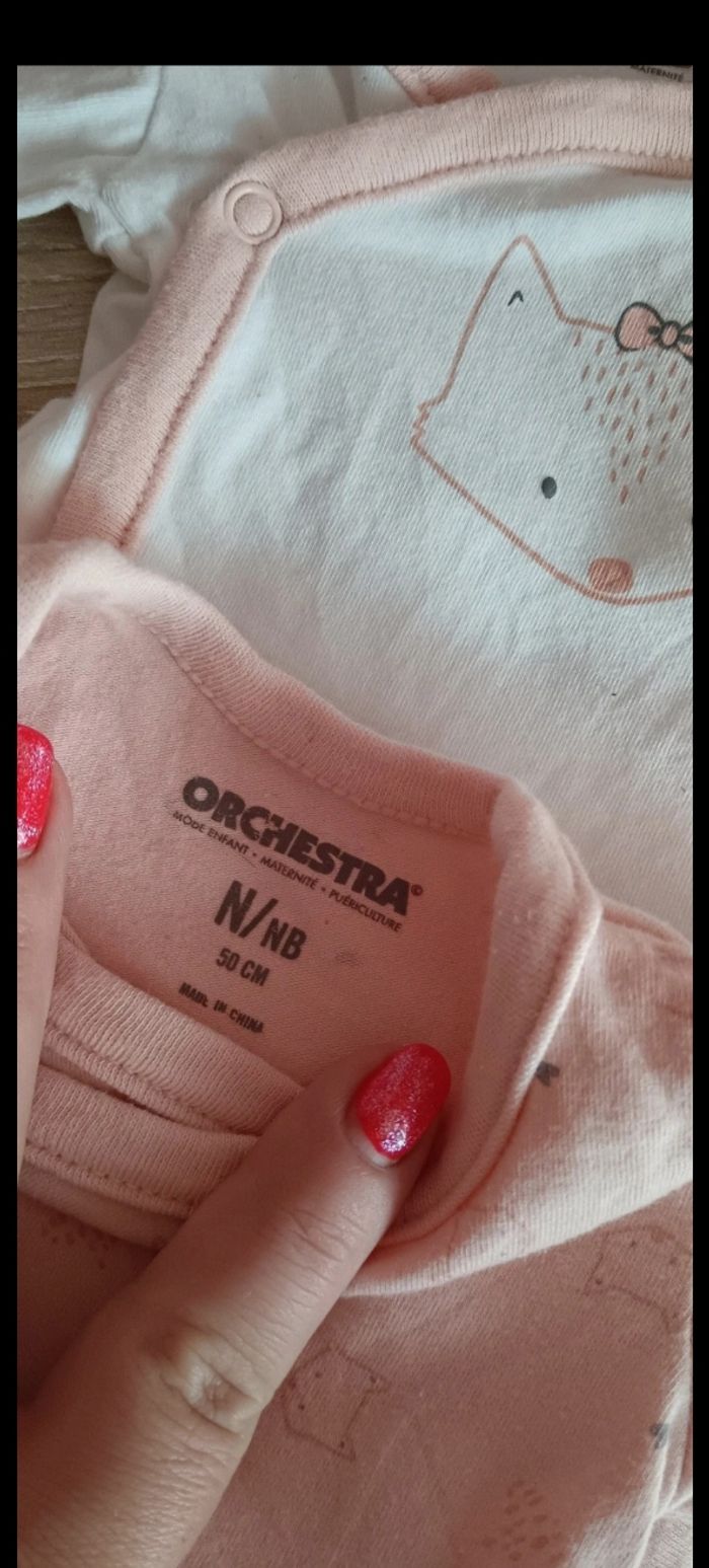 Bodies - photo numéro 4