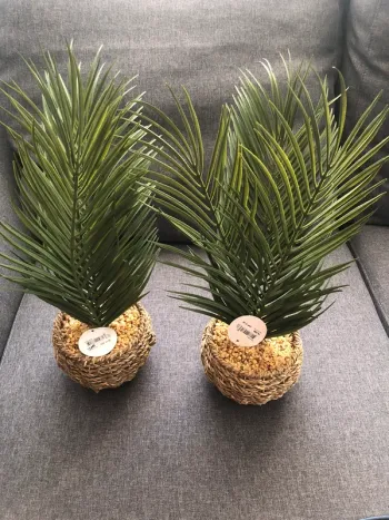 Lot de 2 Plantes vertes artificielles, Maison du monde