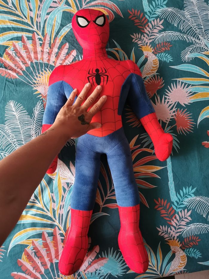 Spider man - photo numéro 2