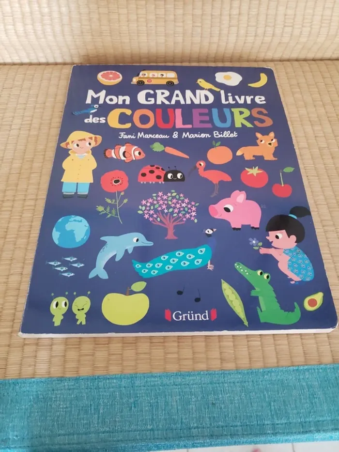 Mon grand livre des couleurs