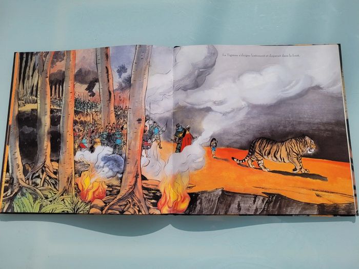 Beau livre grand format dos toilé Le Prince Tigre - photo numéro 11