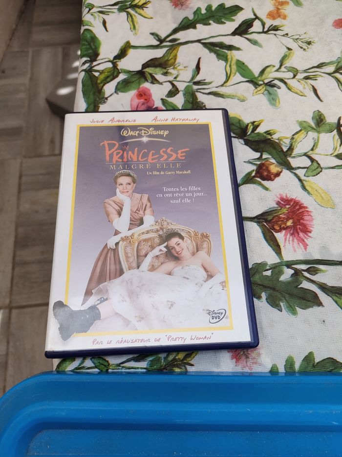 Dvd princesse