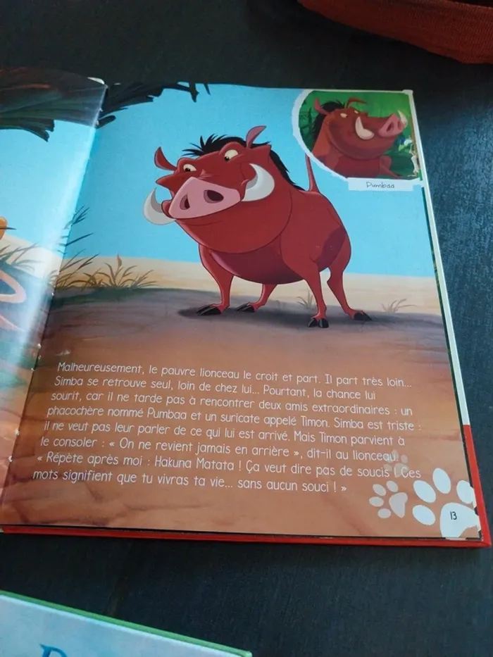 3 livres enfants - photo numéro 6