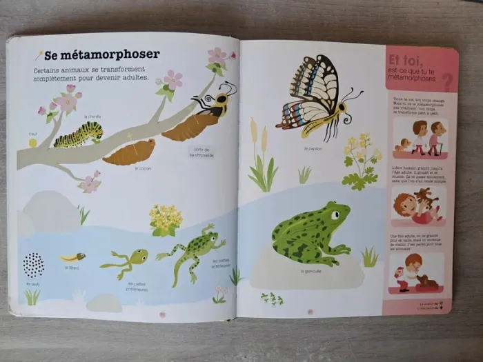 Livre les animaux mes années pourquoi - photo numéro 3