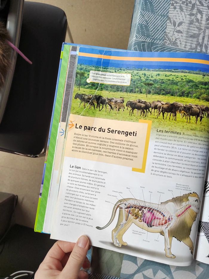 Livre Savoir actuel- Les animaux du monde - photo numéro 10