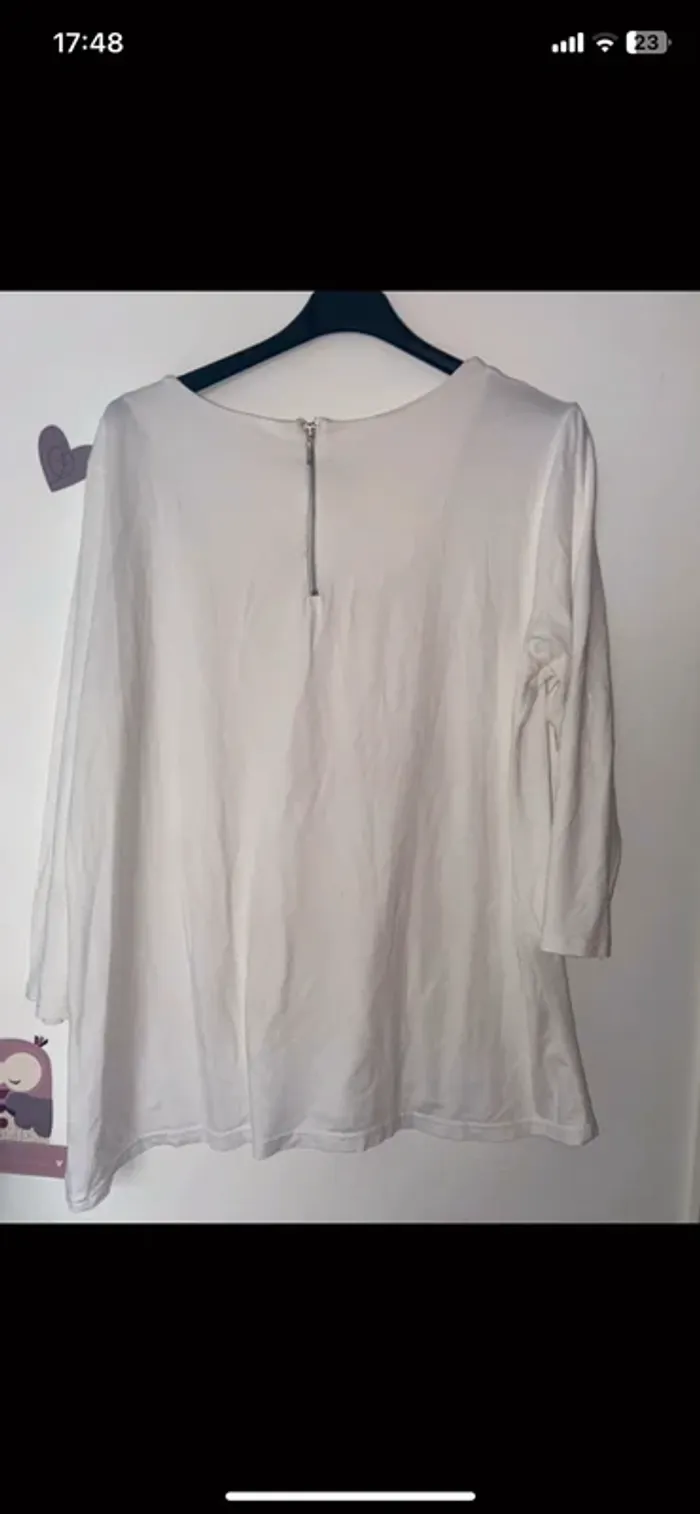 T-shirt grande taille . - photo numéro 4