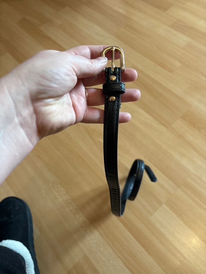 Ceinture - photo numéro 2