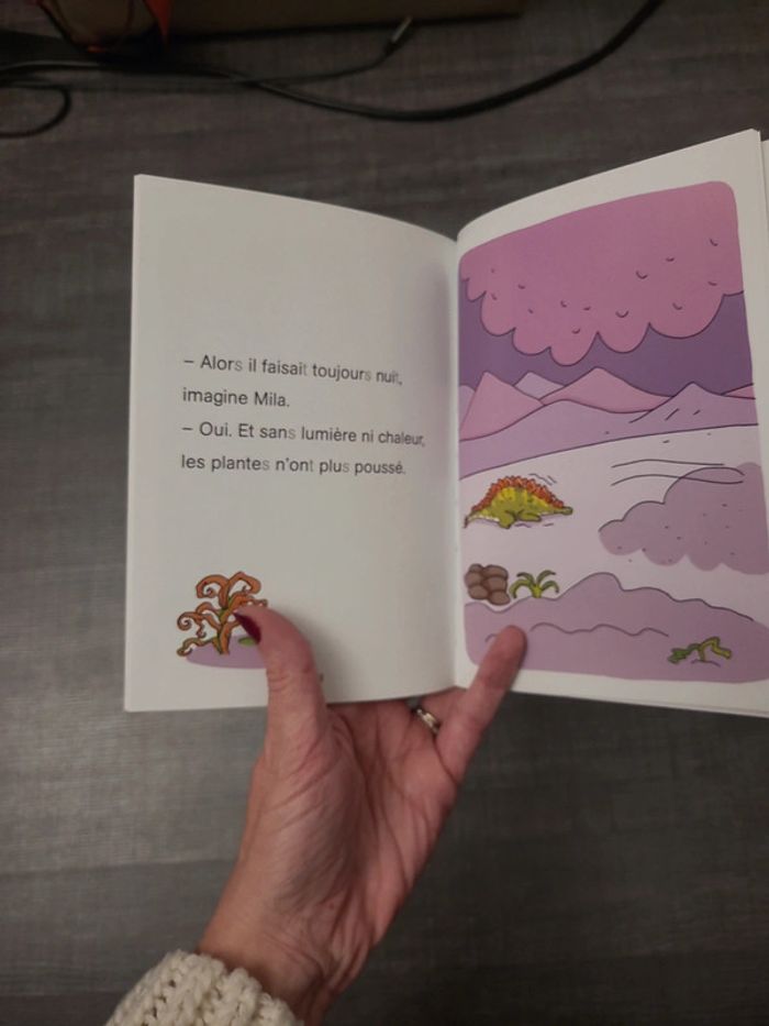 Livres mila et Noé - photo numéro 3