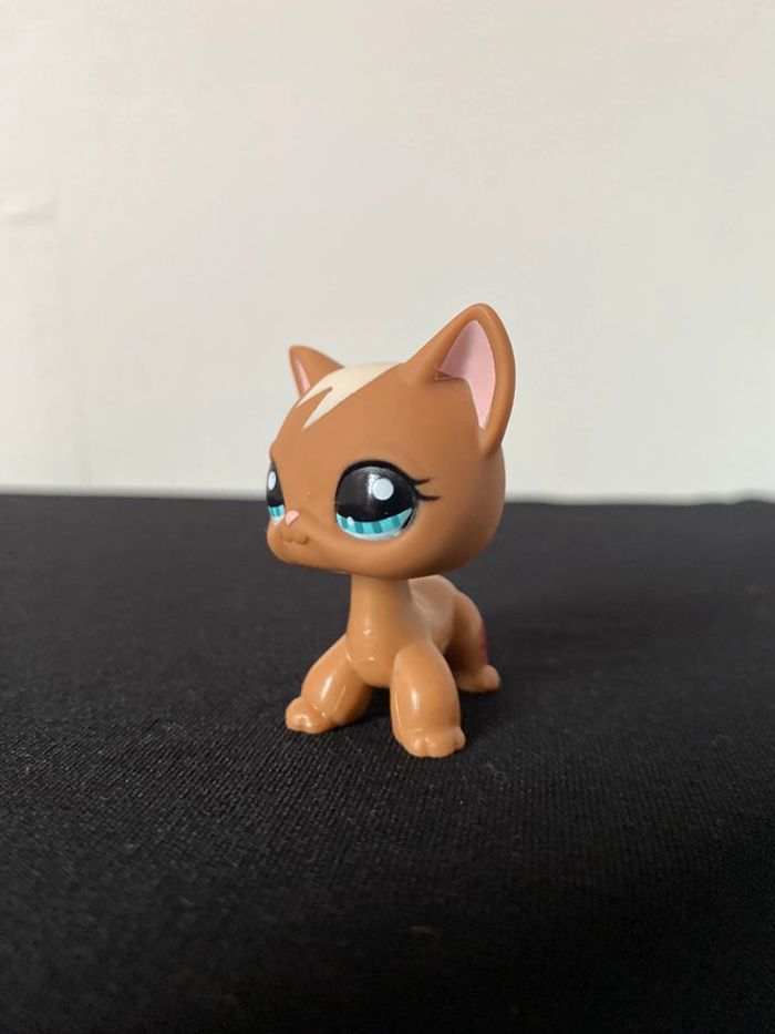 LPS 1170 - photo numéro 5