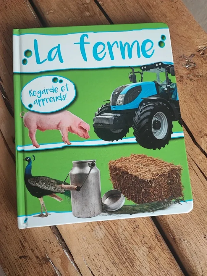 Lot de 3 livres éducatifs - photo numéro 8