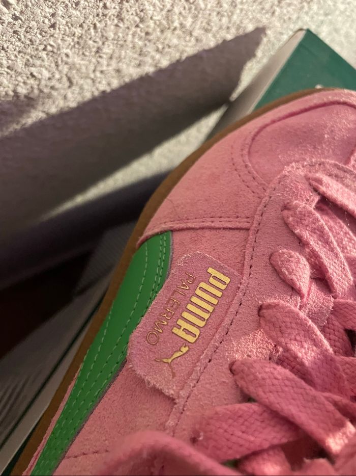 Puma palermo - photo numéro 3