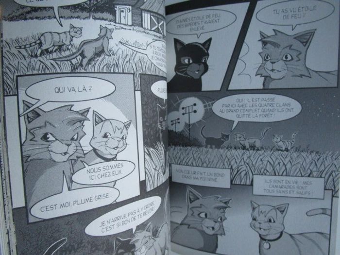 La guerre des clans illustrée : le retour du guerrier - photo numéro 3