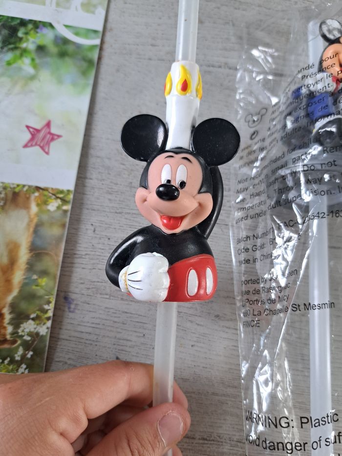 Lot Paille disney - photo numéro 2