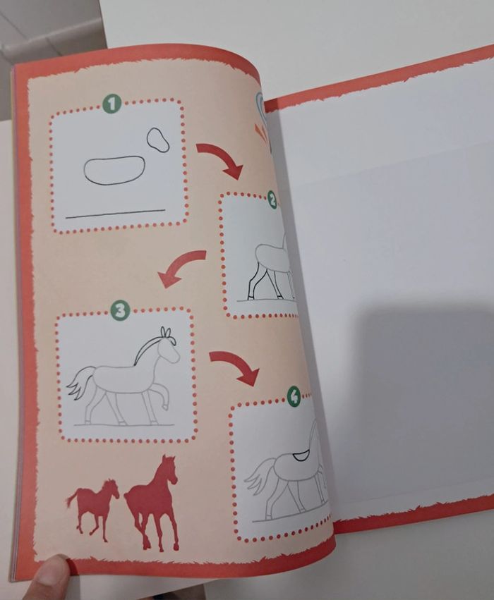 Apprendre à dessiner pas à pas - Les chevaux et poneys - photo numéro 2