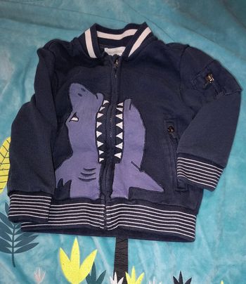 Gilet requin
