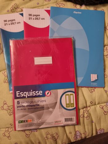 Lot de 3 cahiers + protèges cahier