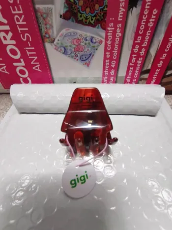 Authentique Barette gigi
