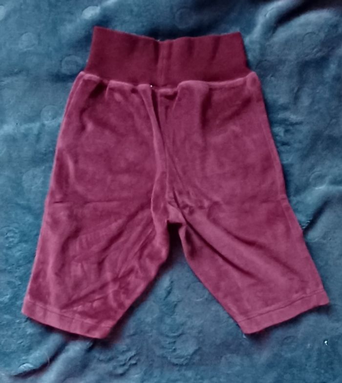 Pantalon velours 3 mois - photo numéro 2
