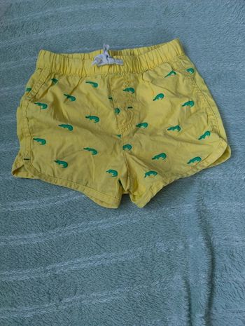 Short crocodile