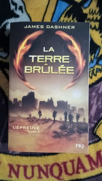 Livre la terre brûlée le labyrinthe