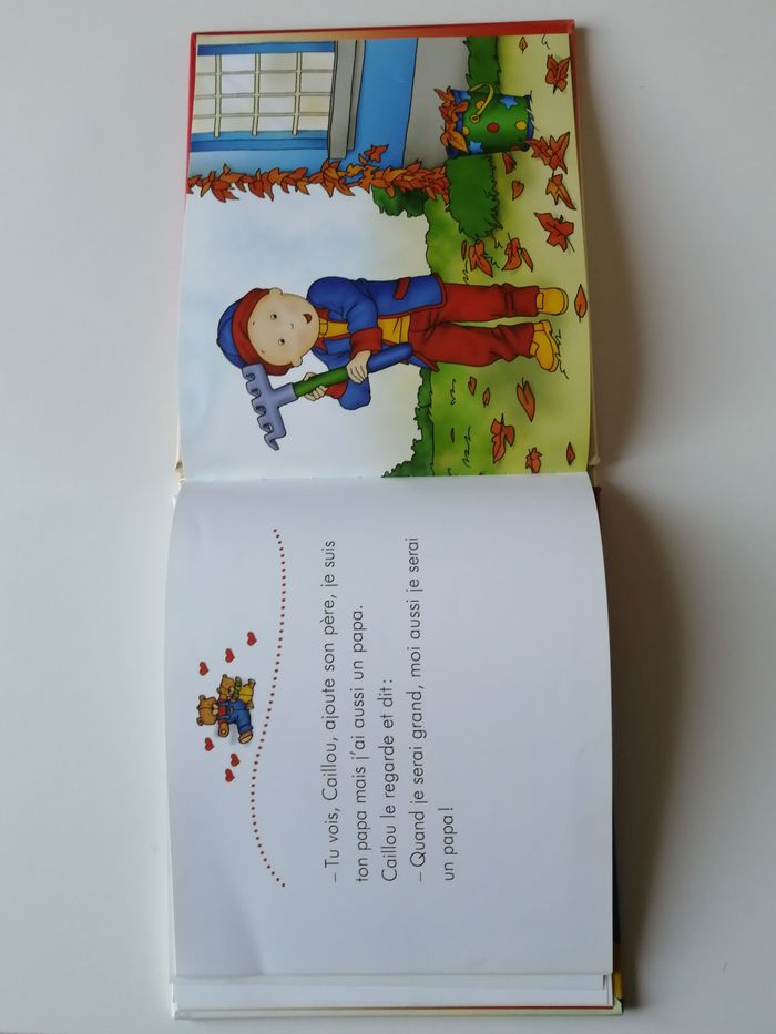 livre enfant - photo numéro 5