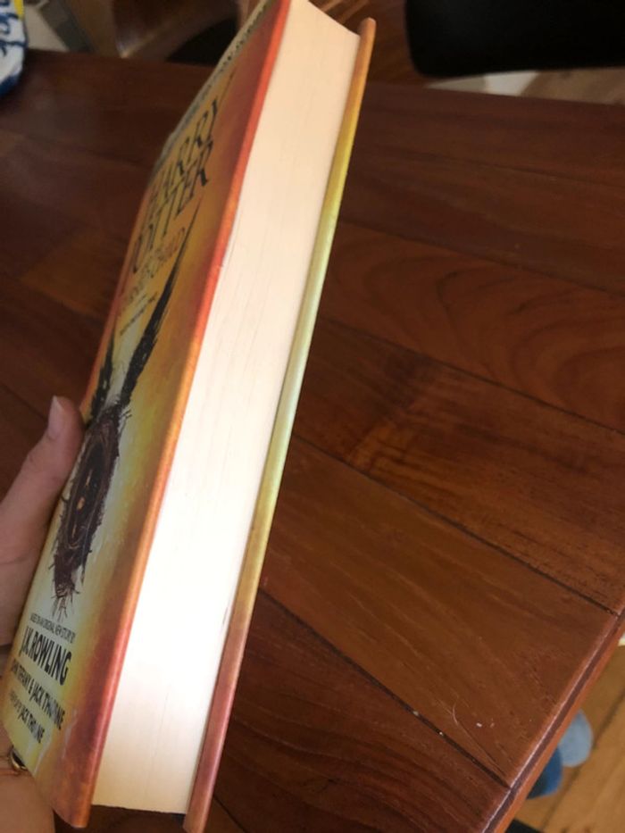 Harry Potter and the cursed child - photo numéro 4