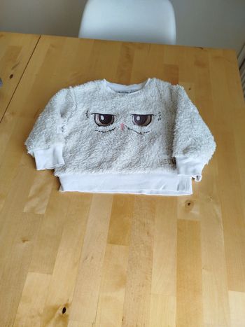 Pull Harry Potter