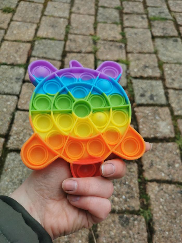 Fidget Jouet Sensoriel tortue - photo numéro 2