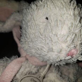Lapins doudou