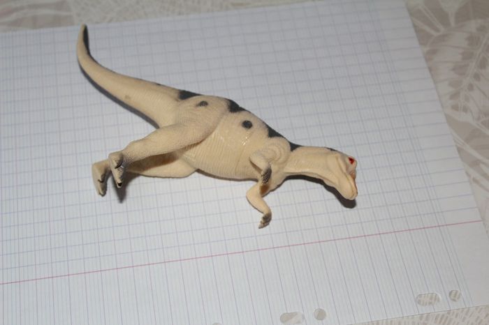dinosaure - photo numéro 3
