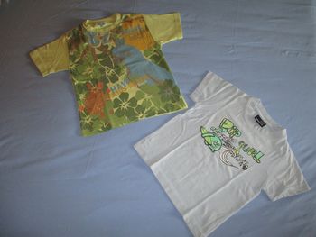 lot de 2 tee shirts garçons O'kids et rip curl 4 ans