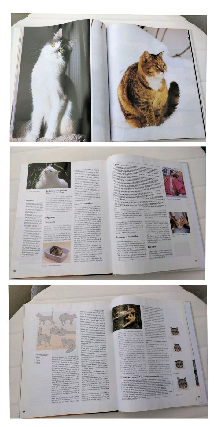 Encyclopédie du chat - photo numéro 2