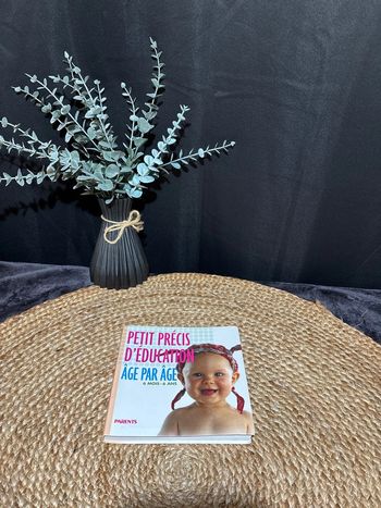 Livre petit précis d’éducation âge par âge