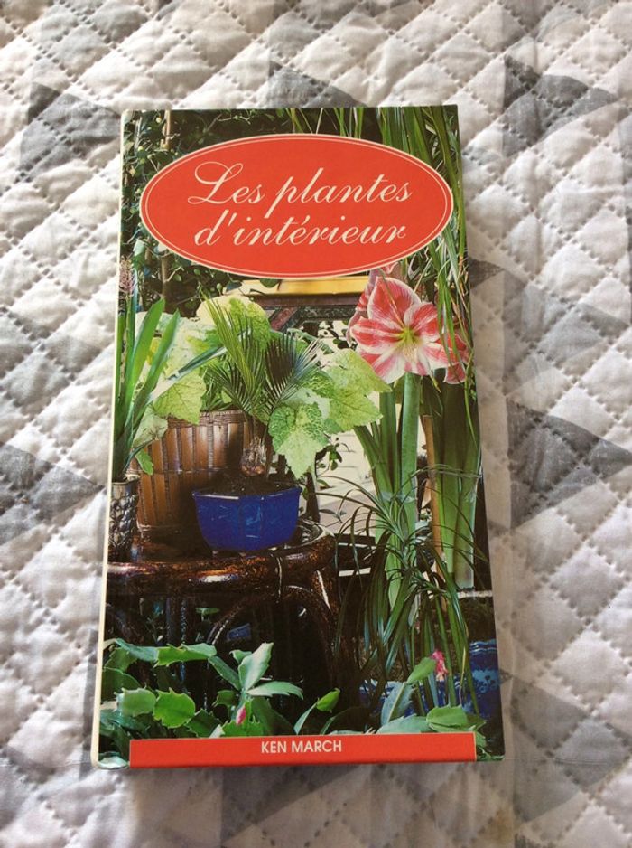 #les plantes d’intérieur Ken March - photo numéro 2
