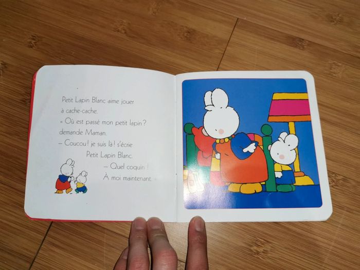 Petit Lapin Blanc est un coquin - photo numéro 5