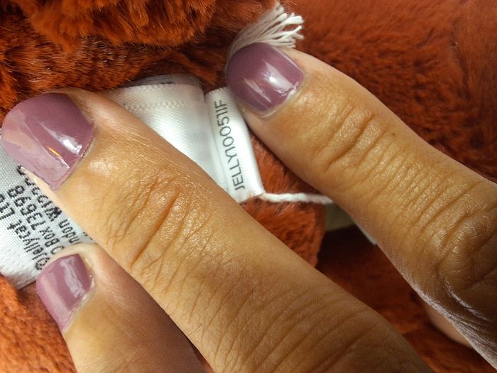 Peluche Jellycat bashful écureuil roux idéal cadeau noël neuf squirrel - photo numéro 7