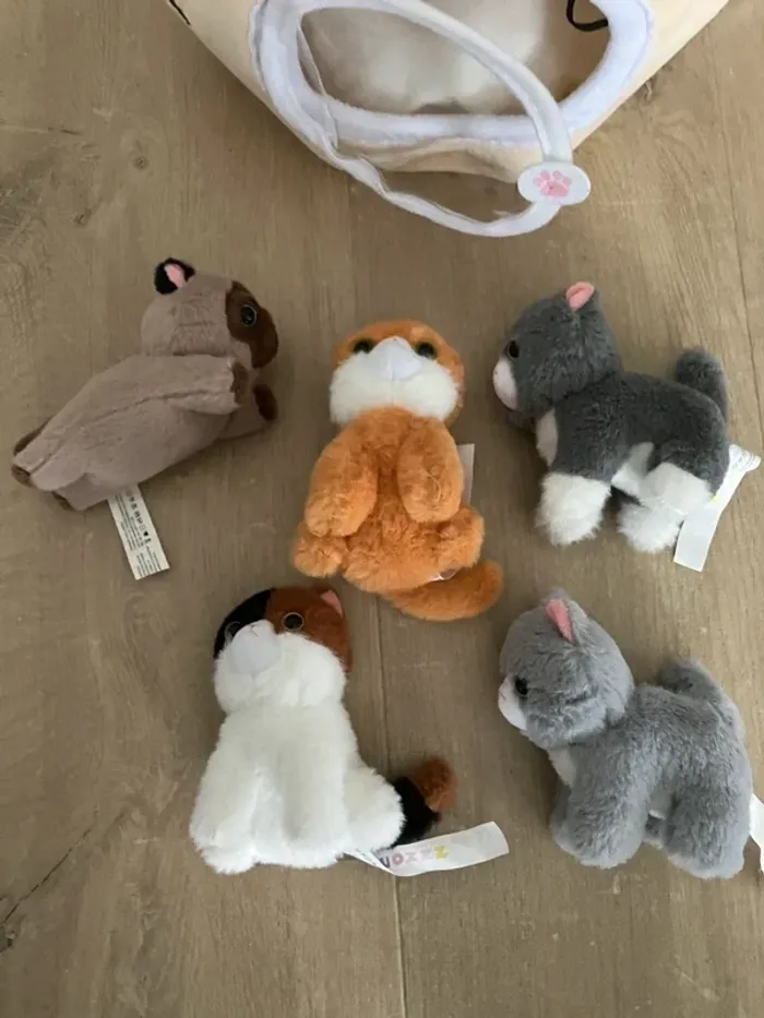 Lot de 5 petites peluches chats chatons avec sa maison panier ouozzz - photo numéro 2