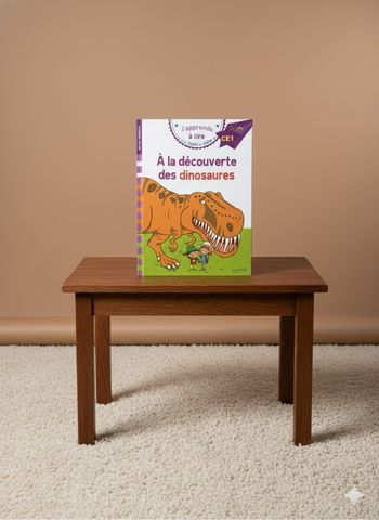 Livre “À la découverte des dinosaures” Sami et Julie CE1