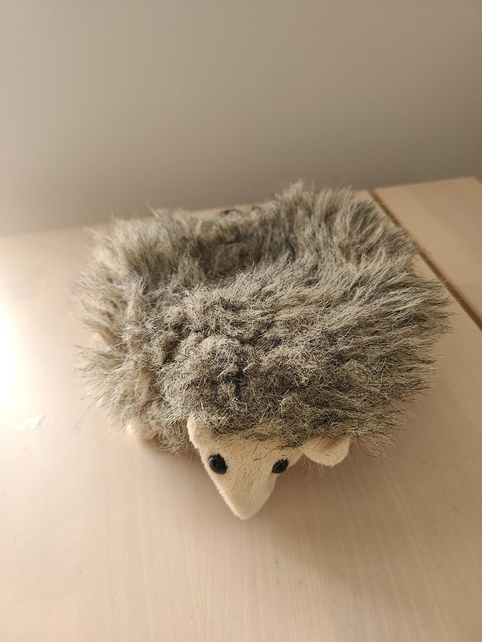 Hérisson - photo numéro 7