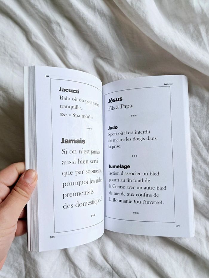 Le dictionnaire de Laurent Baffie - photo numéro 5